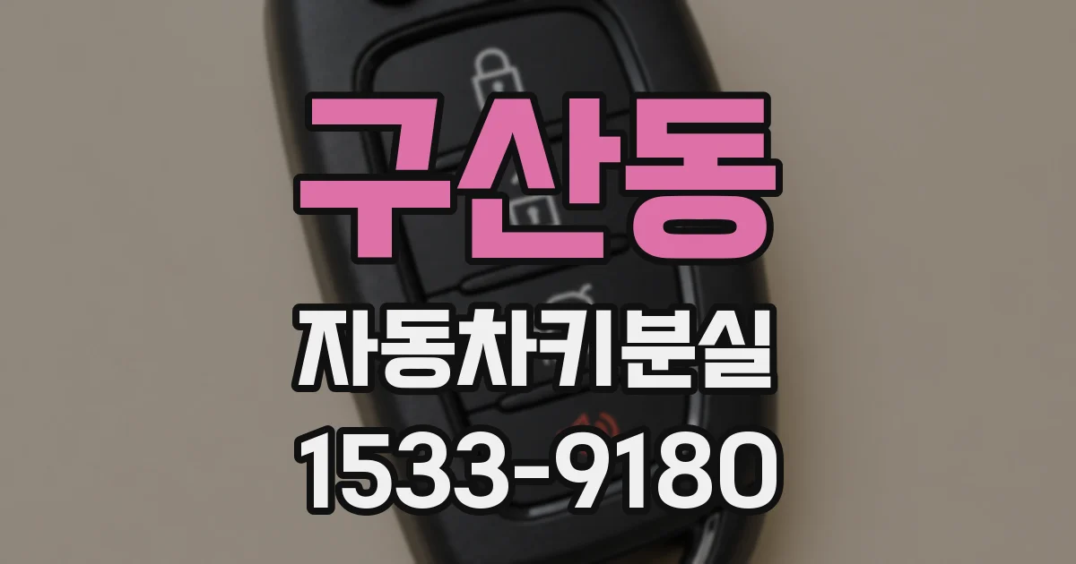구산동 자동차키분실