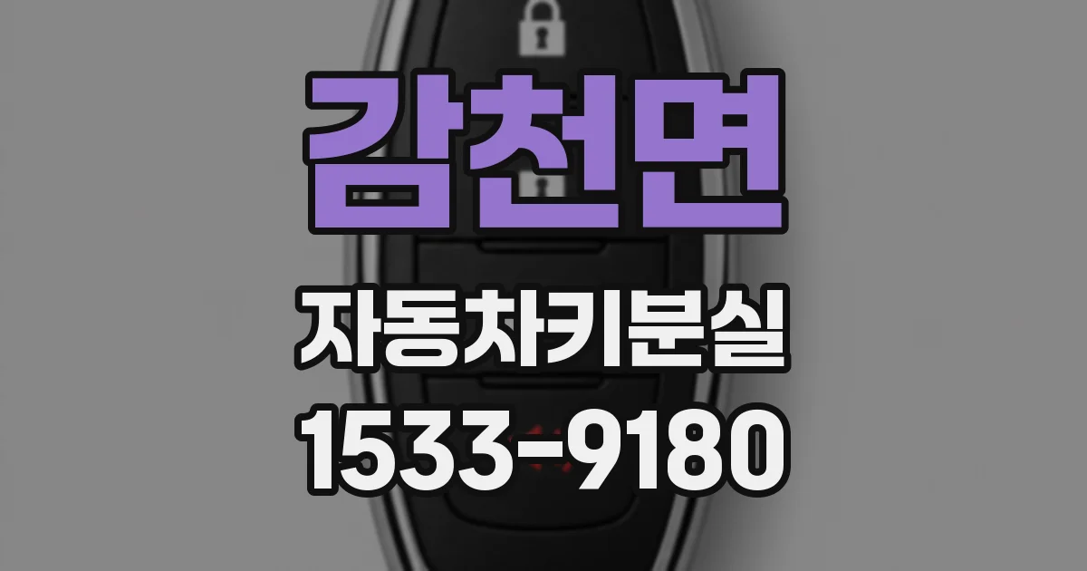 감천면 자동차키분실