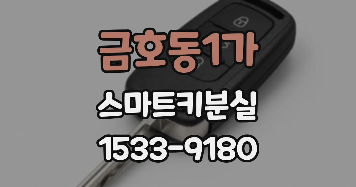 금호동1가 스마트키분실