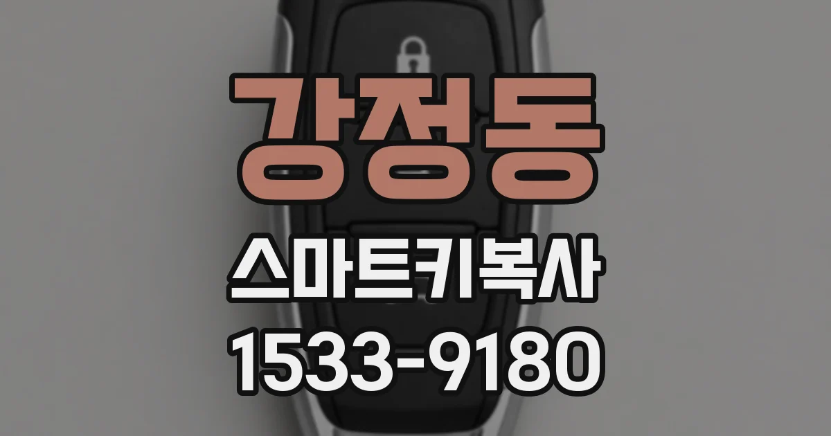 강정동 스마트키복사