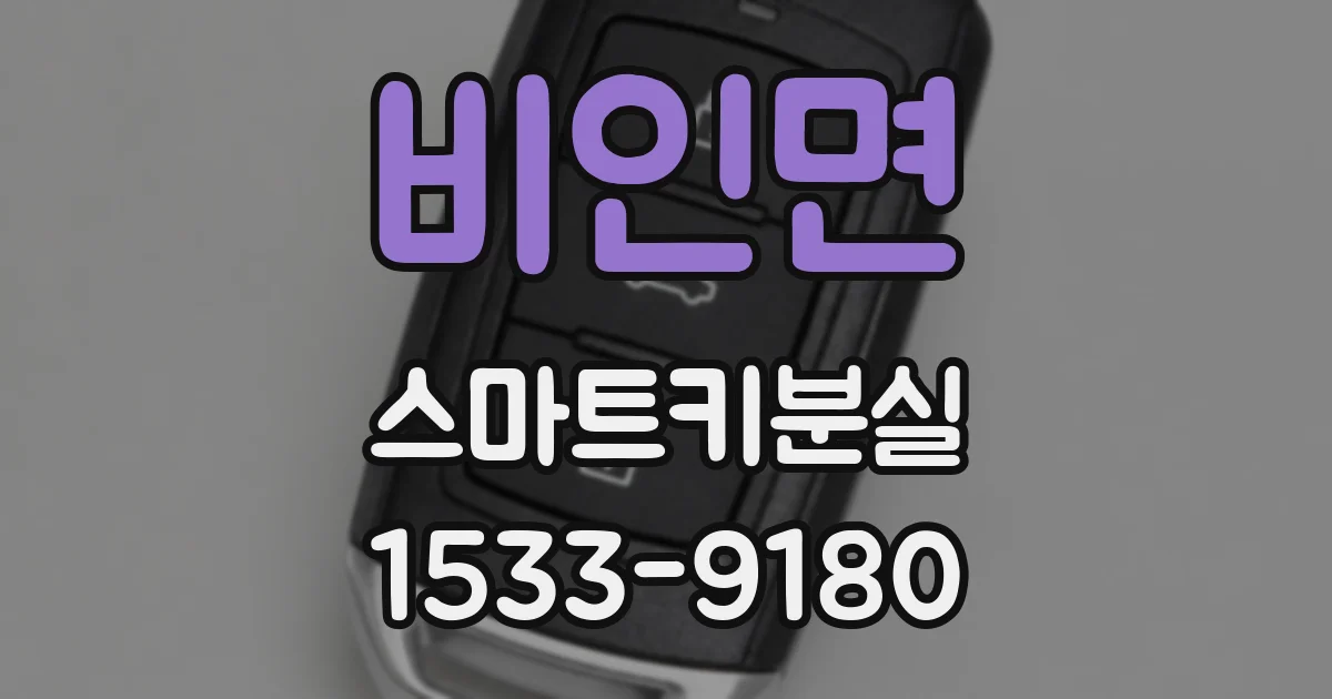 비인면 스마트키분실