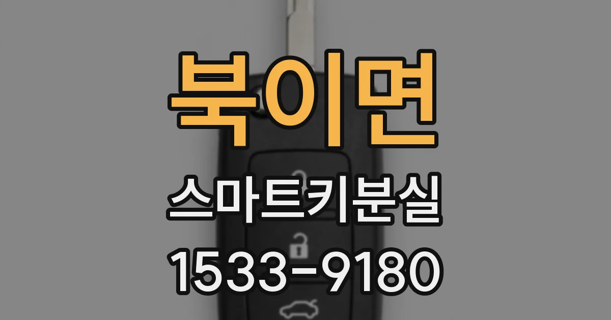 북이면 스마트키분실