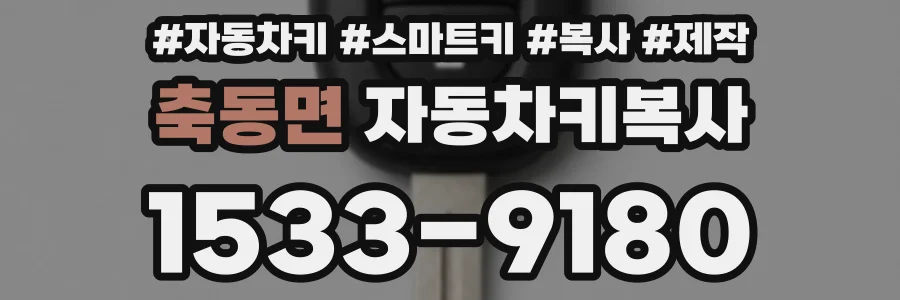 축동면 자동차키복사