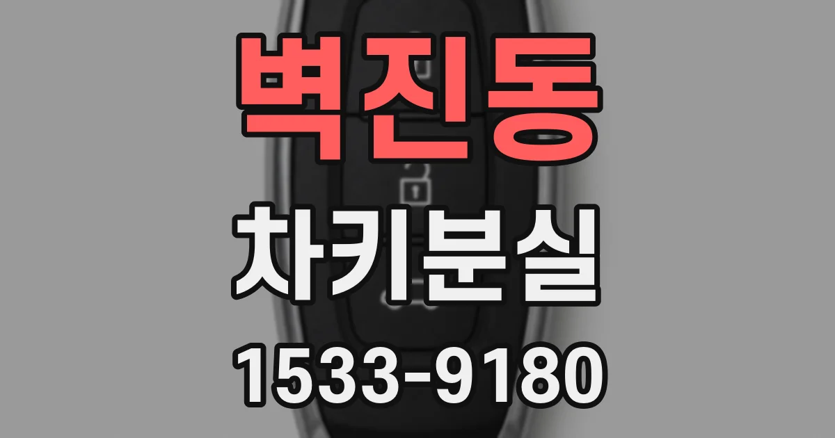 벽진동 차키분실