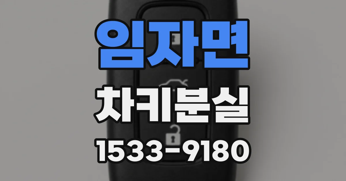 임자면 차키분실
