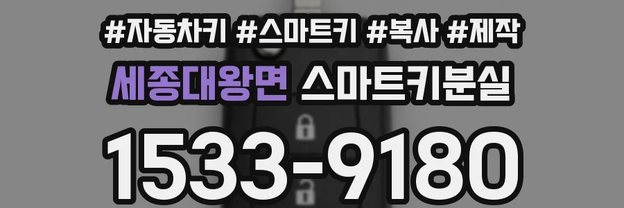 세종대왕면 스마트키분실