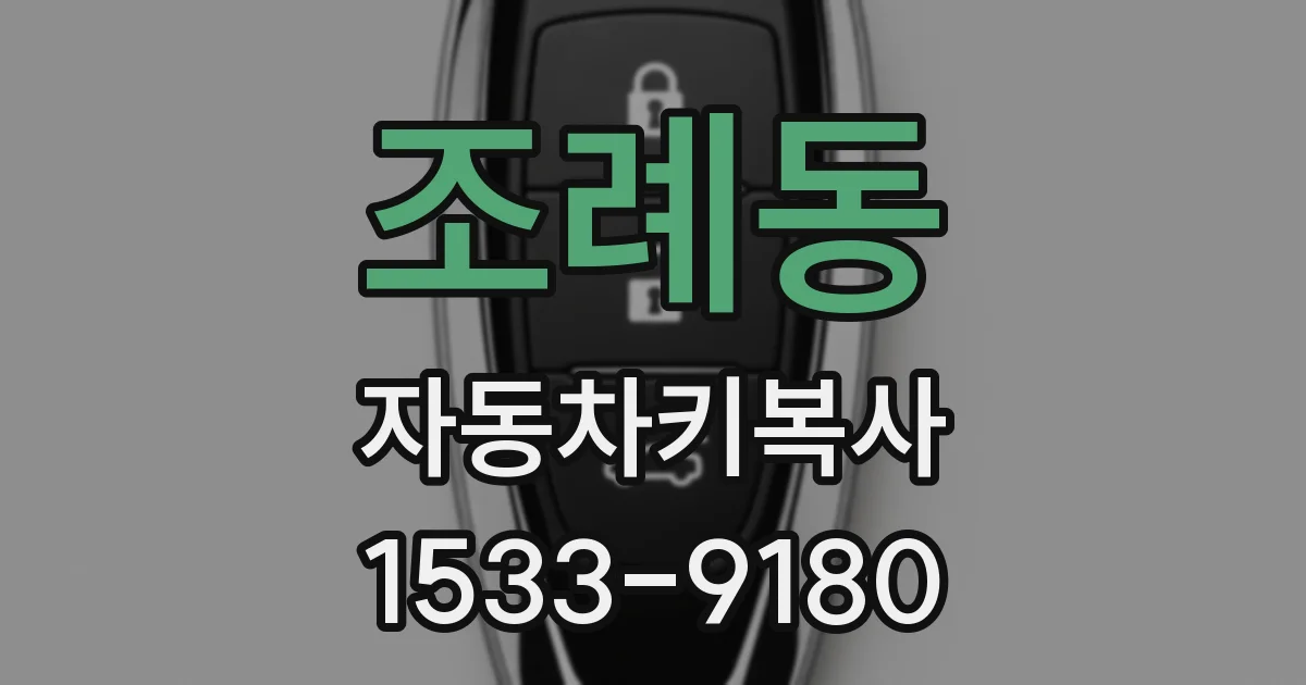 조례동 자동차키복사
