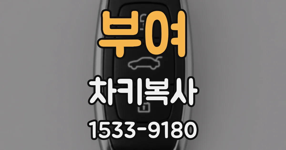부여 차키복사