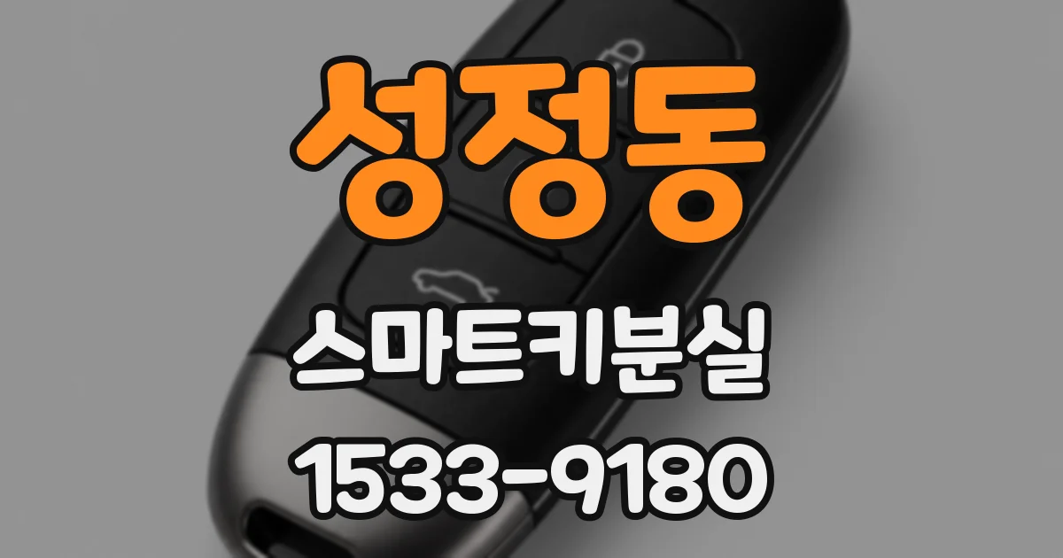 성정동 스마트키분실