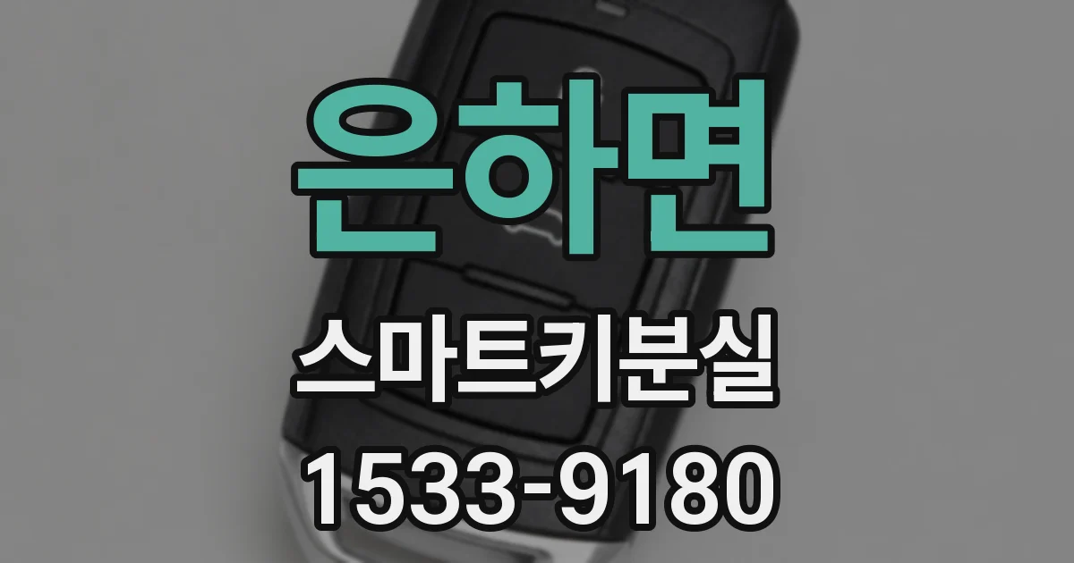 은하면 스마트키분실
