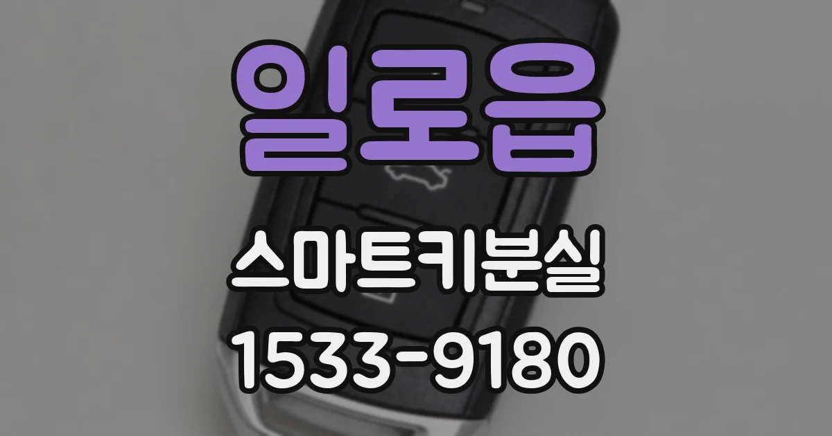 일로읍 스마트키분실