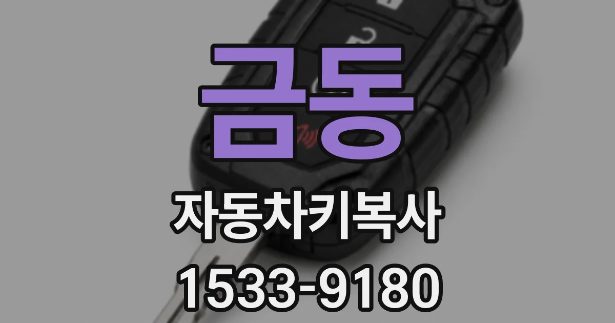 금동 자동차키복사