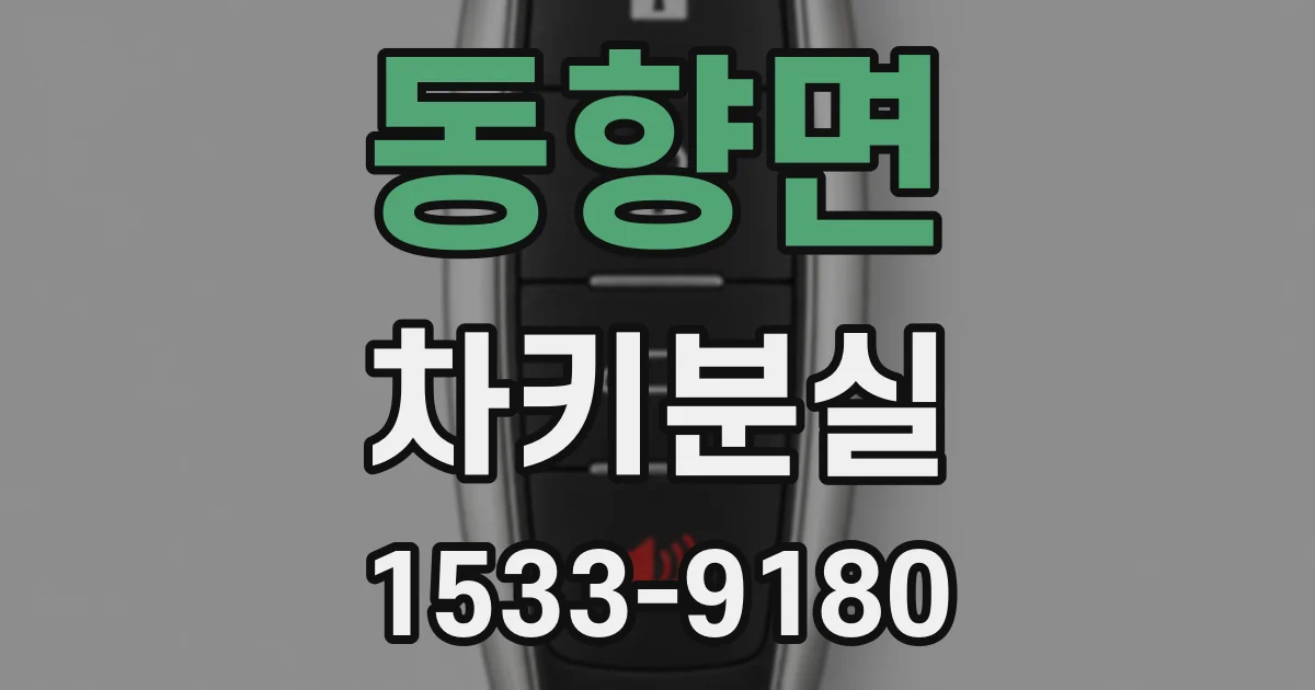 동향면 차키분실