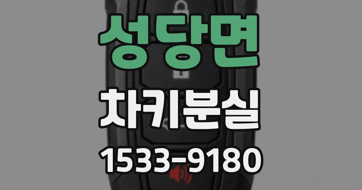 성당면 차키분실