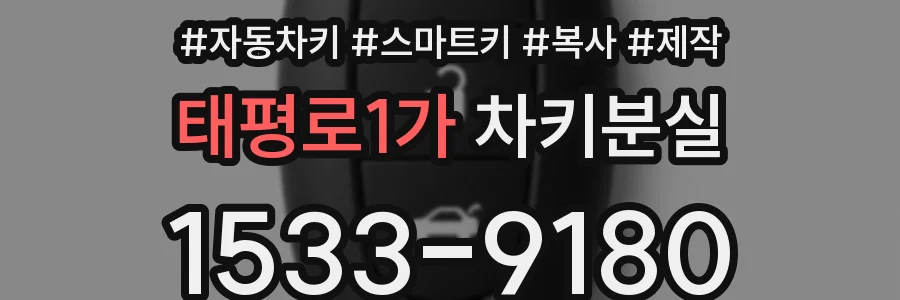 태평로1가 차키분실