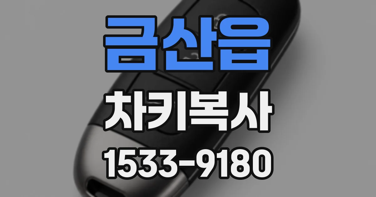 금산읍 차키복사