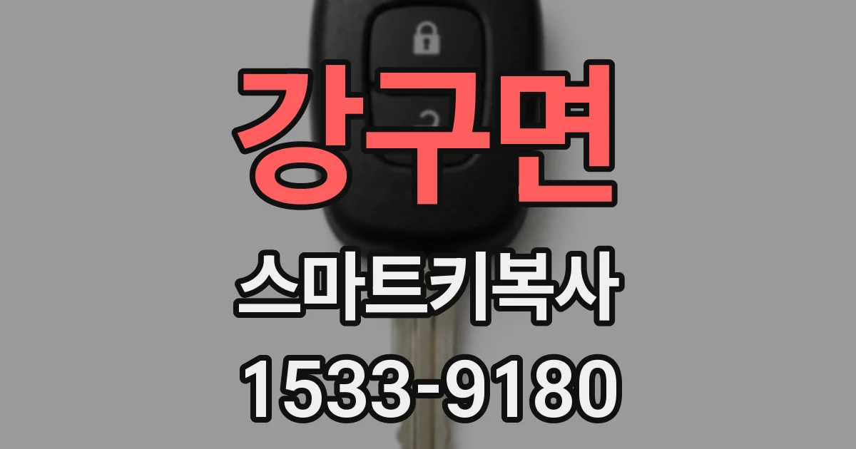 강구면 스마트키복사
