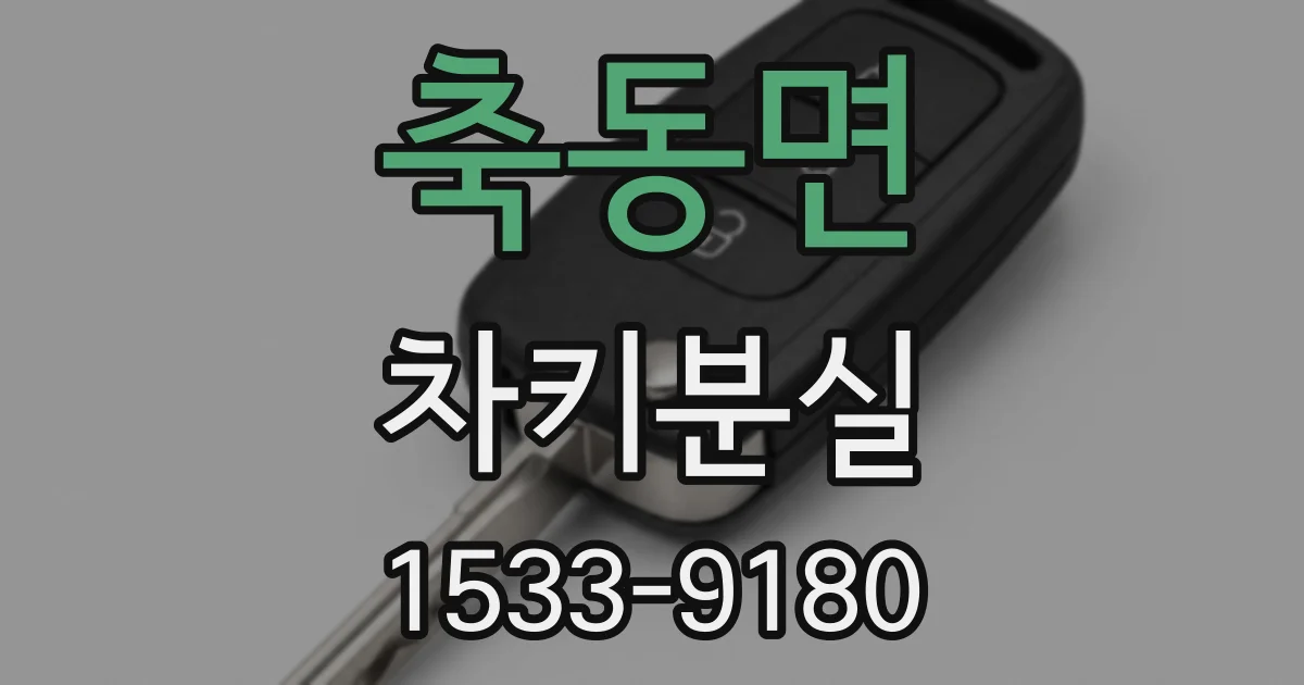 축동면 차키분실