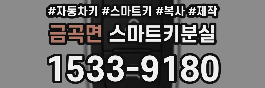 금곡면 스마트키분실
