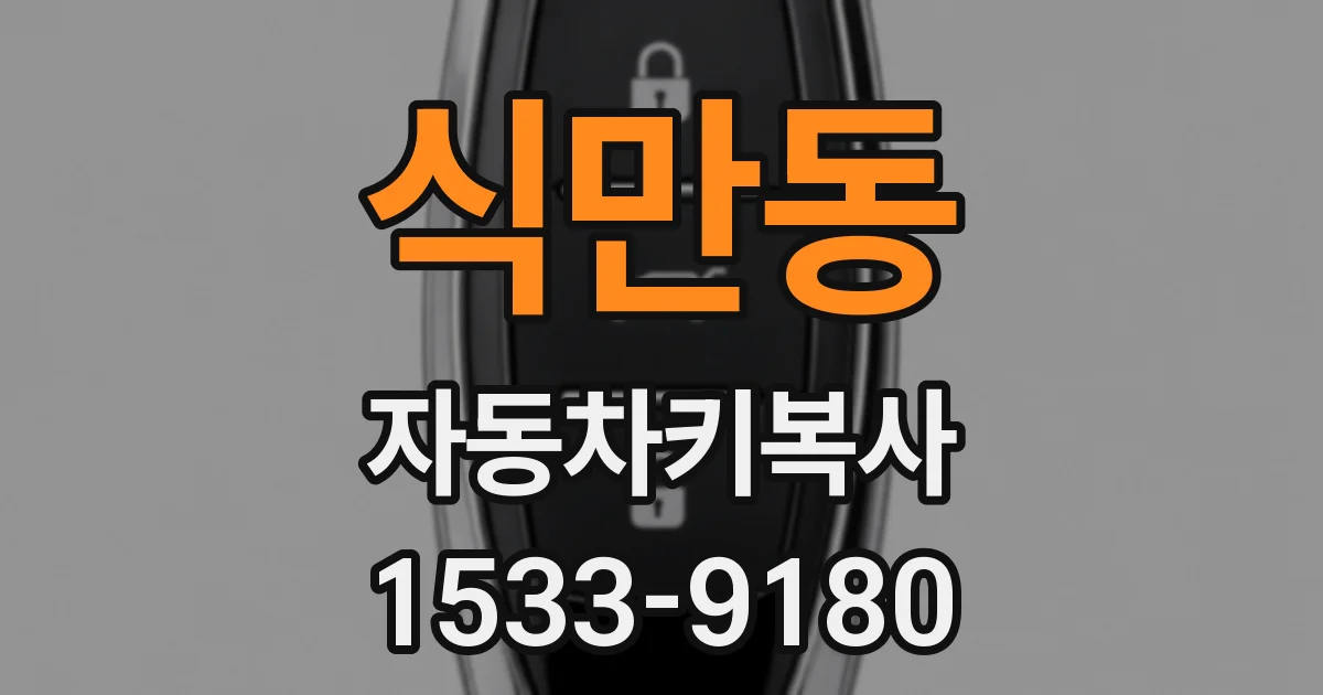 식만동 자동차키복사