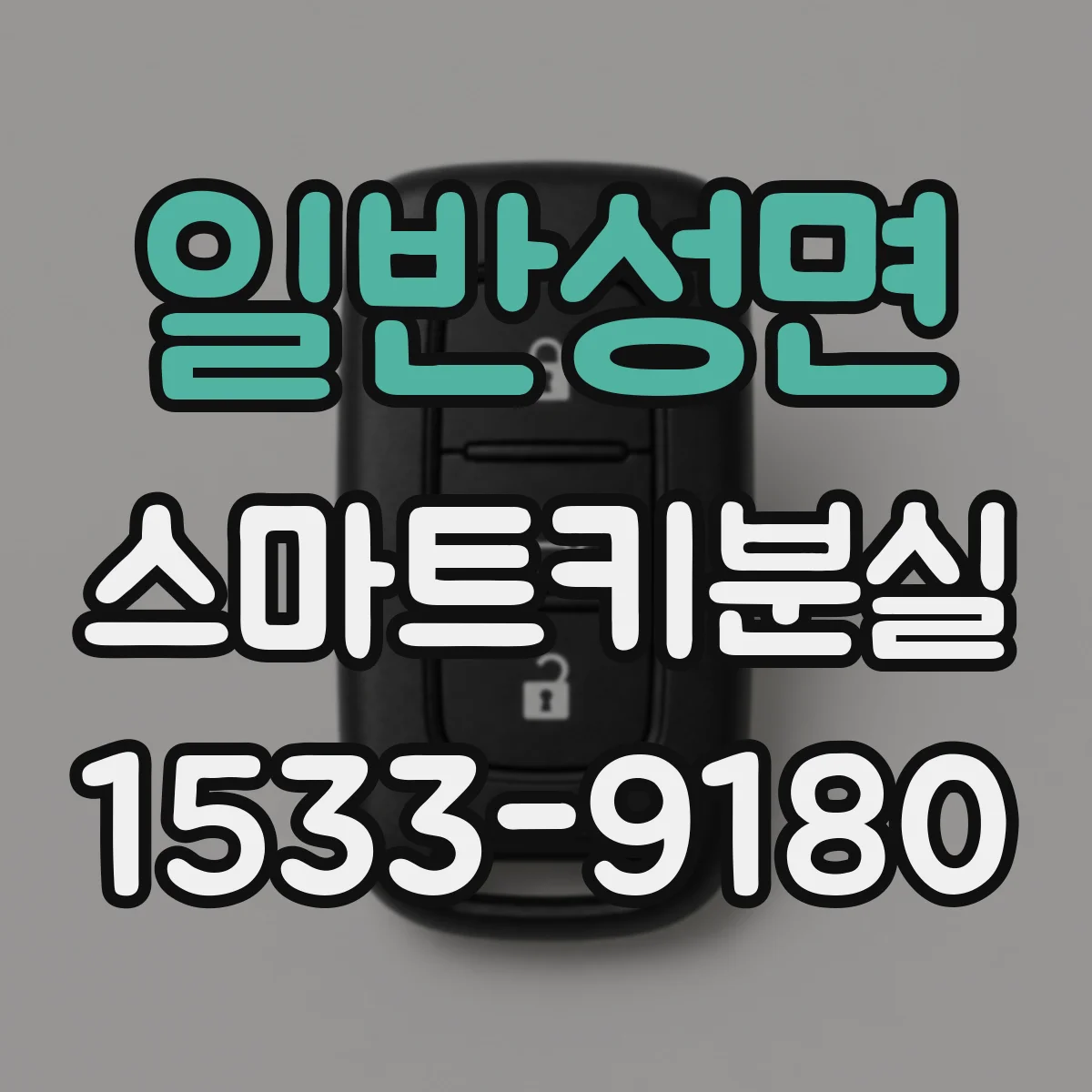 일반성면 스마트키분실