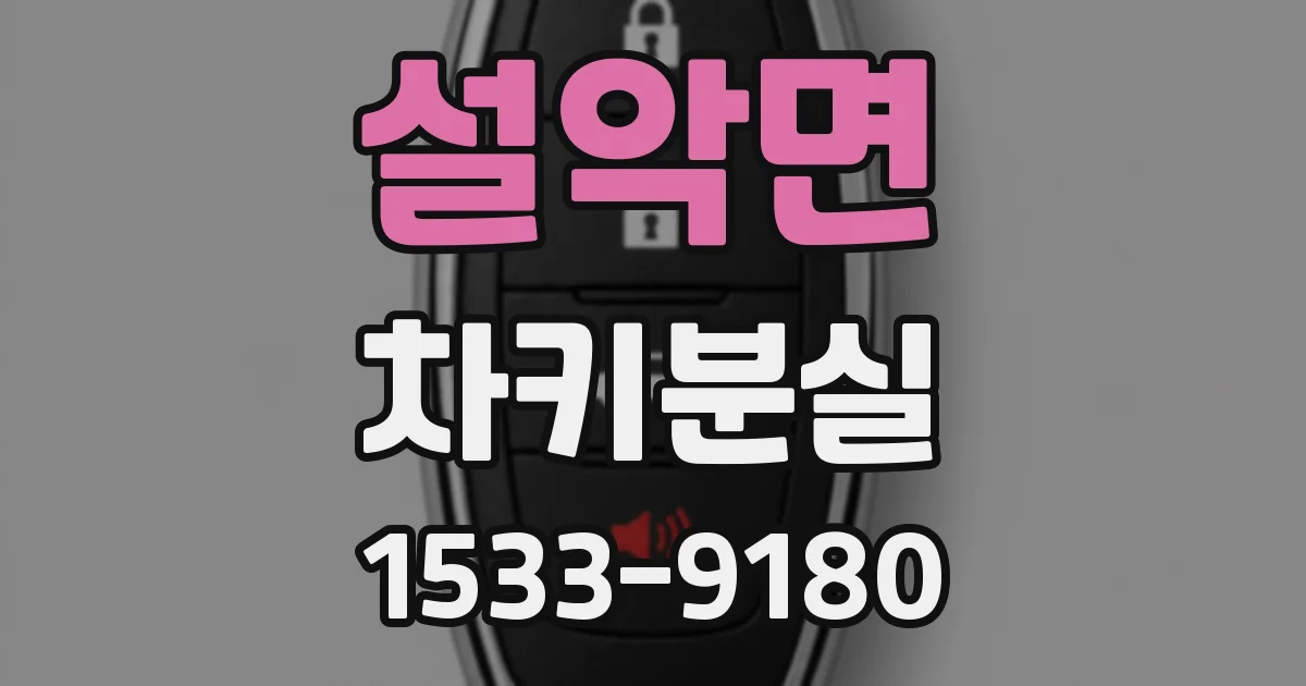 설악면 차키분실
