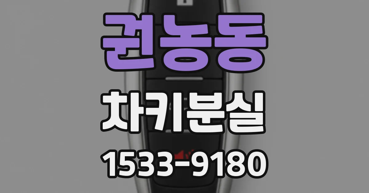 권농동 차키분실
