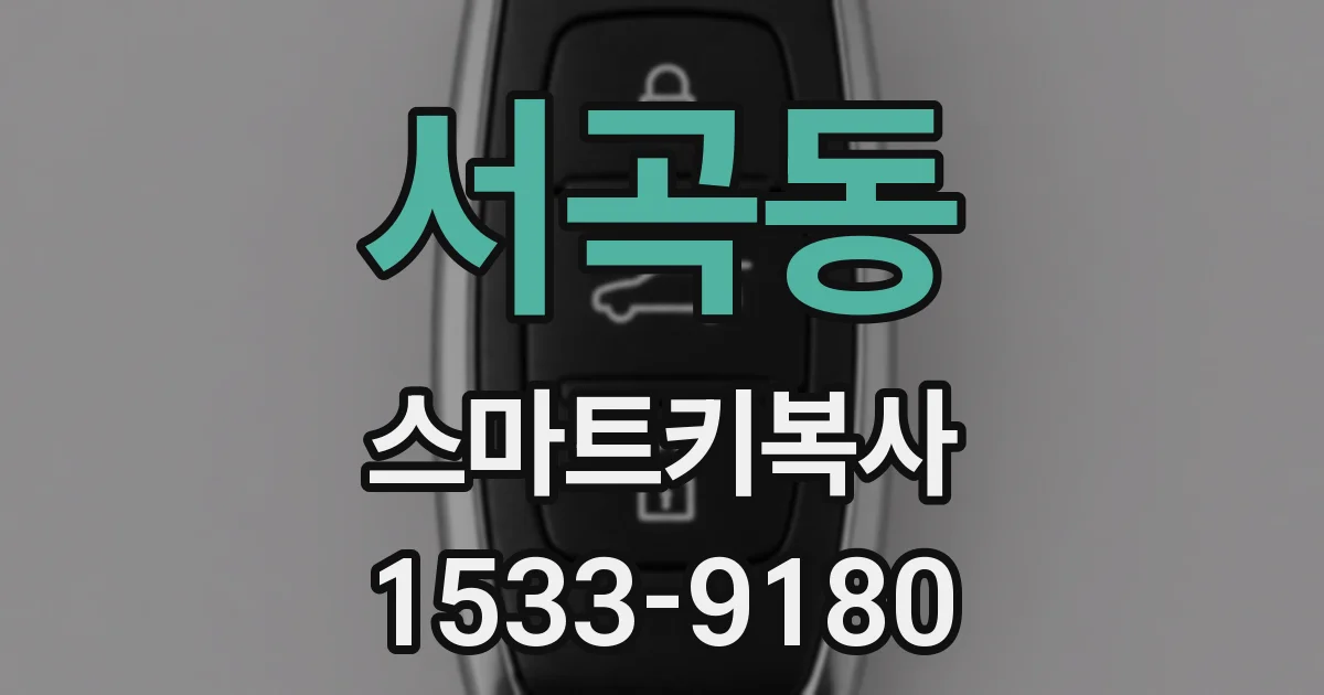 서곡동 스마트키복사