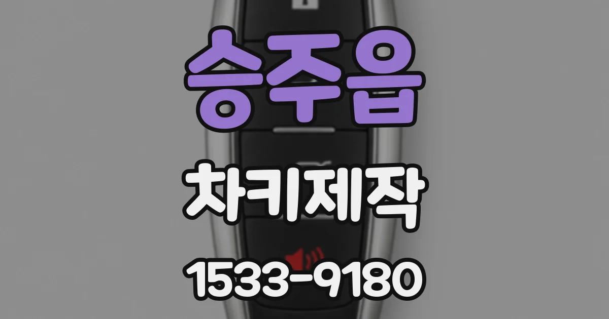 승주읍 차키제작