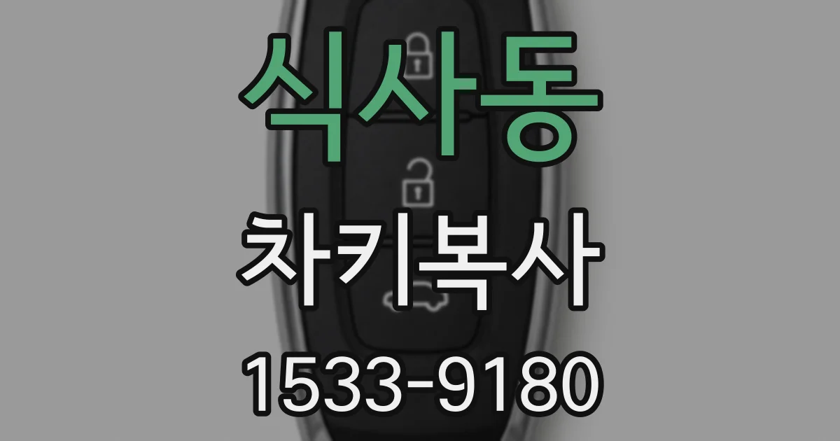 식사동 차키복사