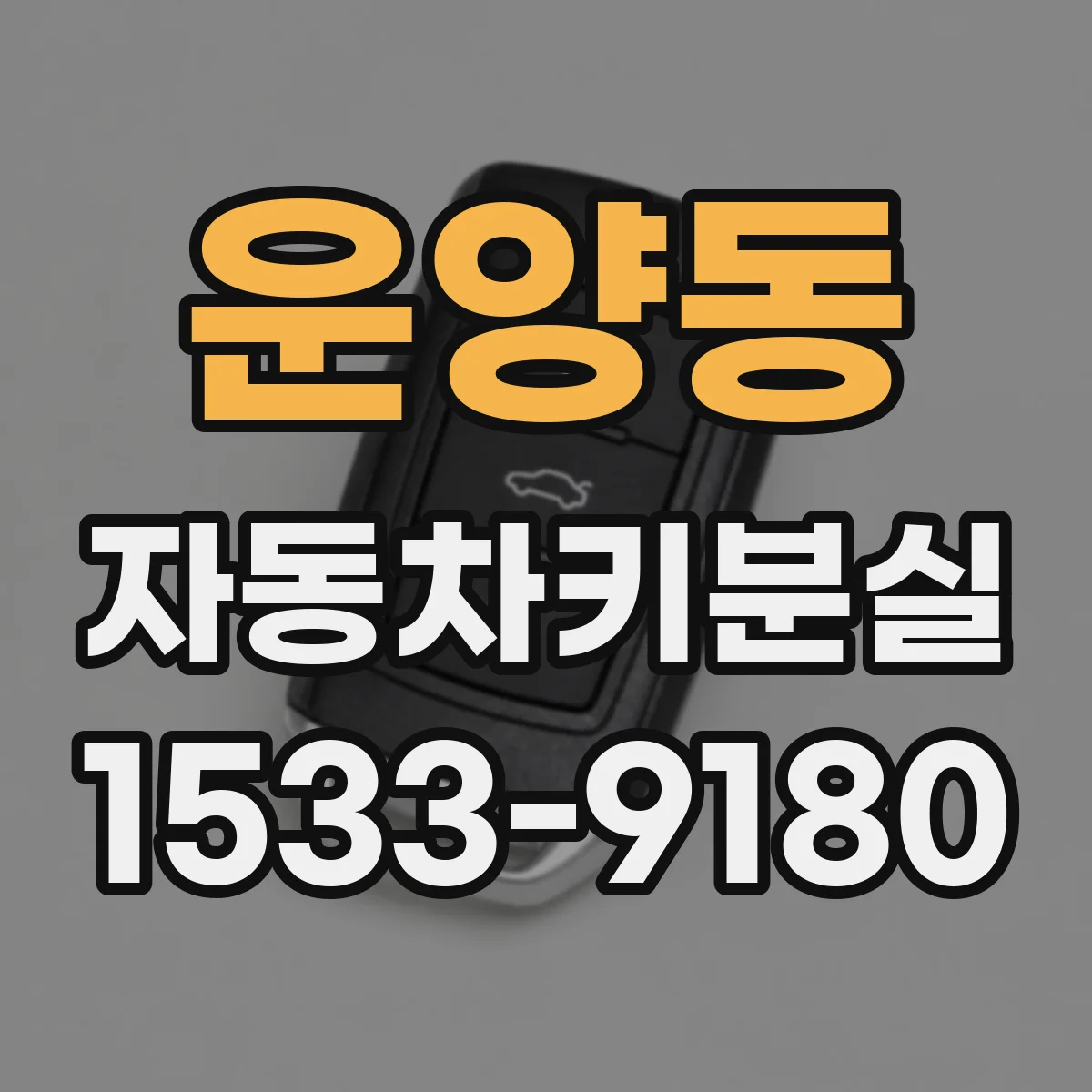 운양동 자동차키분실