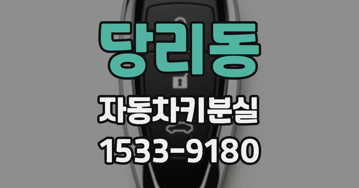 당리동 자동차키분실