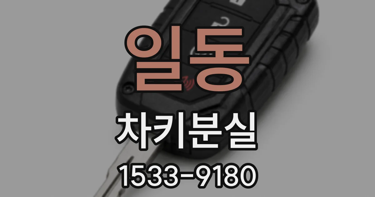 일동 차키분실
