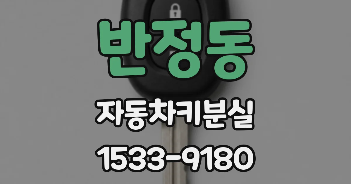 반정동 자동차키분실