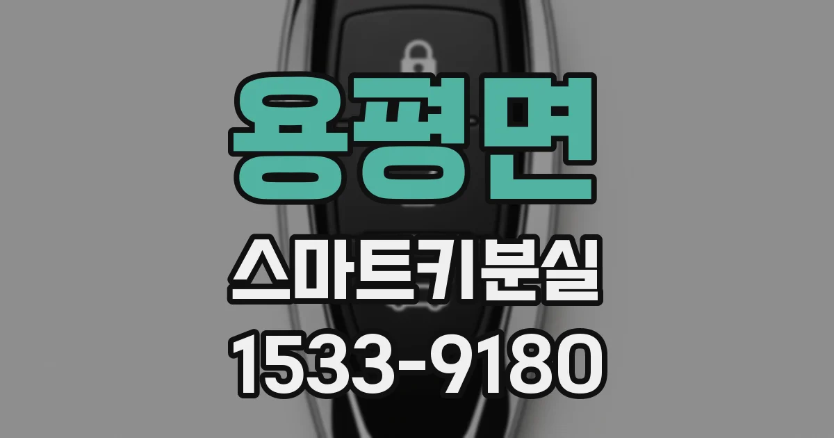 용평면 스마트키분실