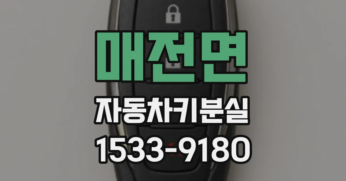 매전면 자동차키분실
