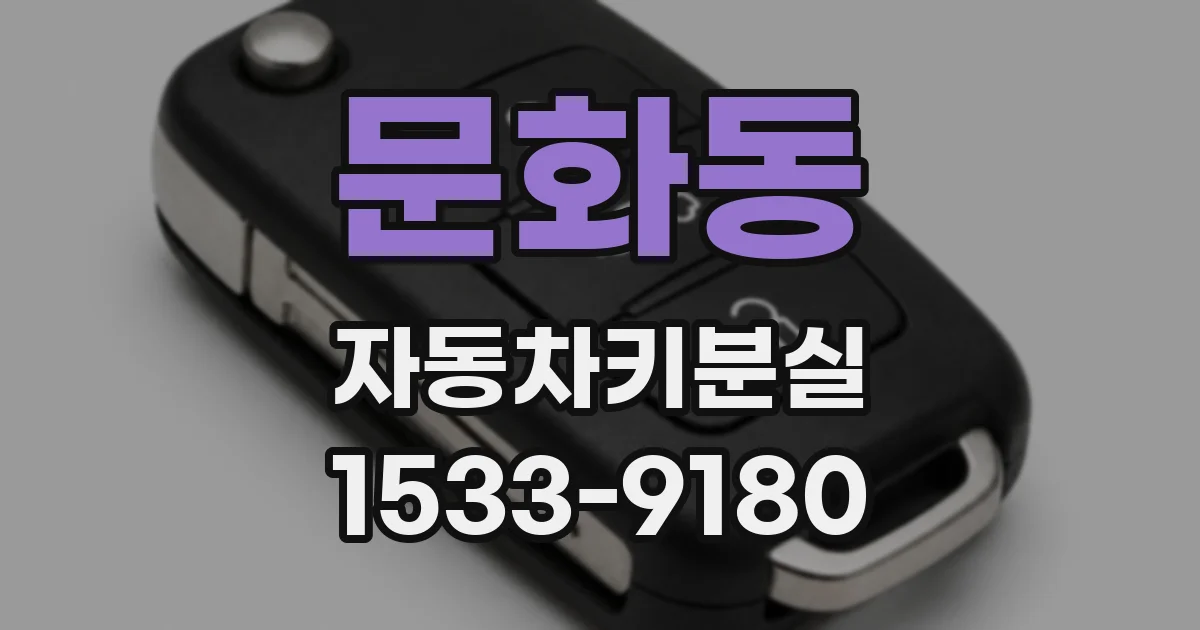 문화동 자동차키분실