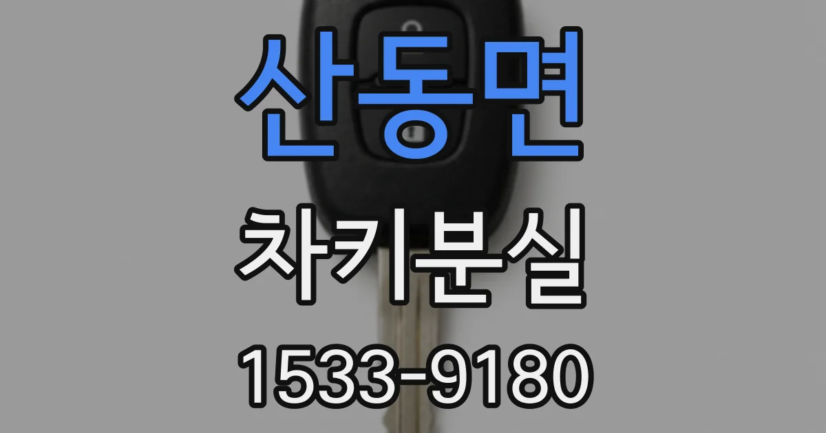 산동면 차키분실