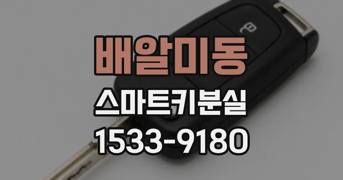 배알미동 스마트키분실