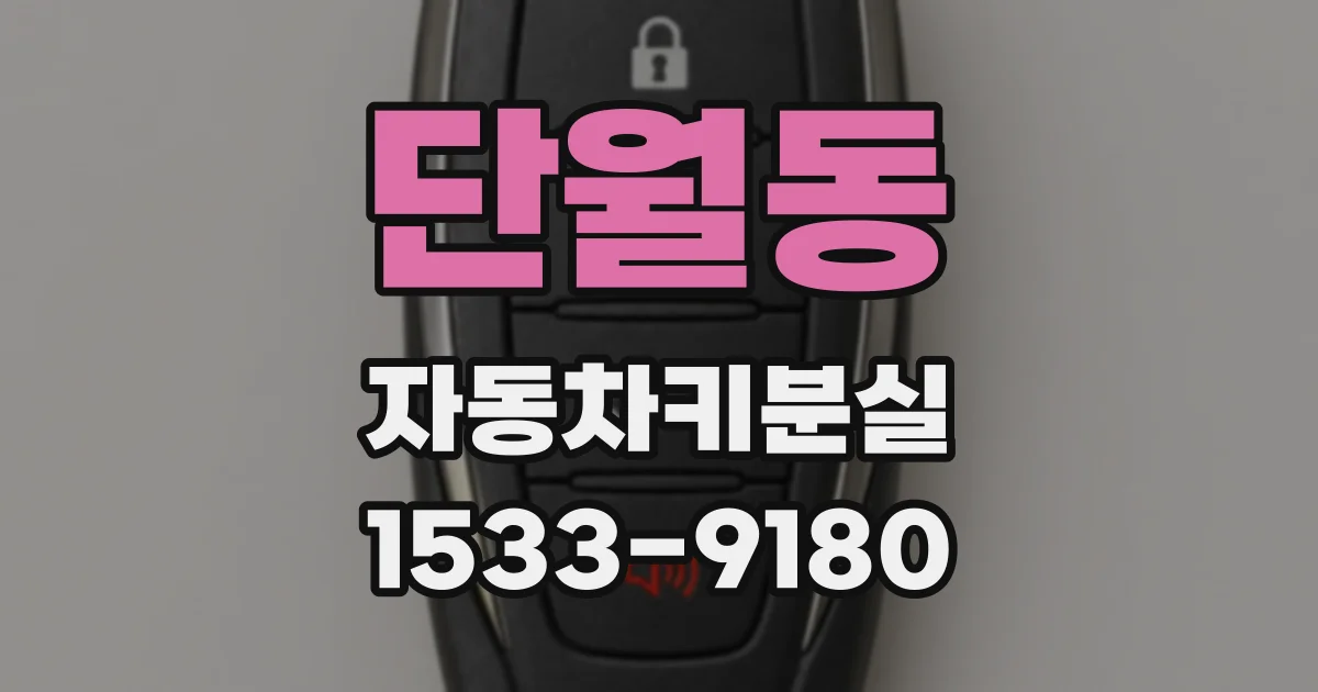 단월동 자동차키분실