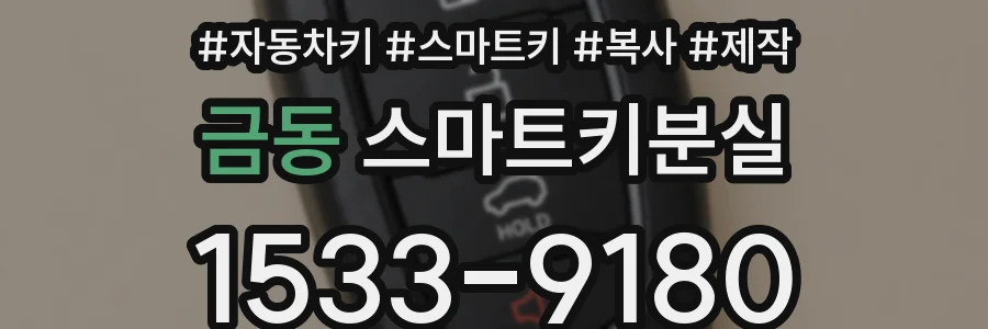 금동 스마트키분실