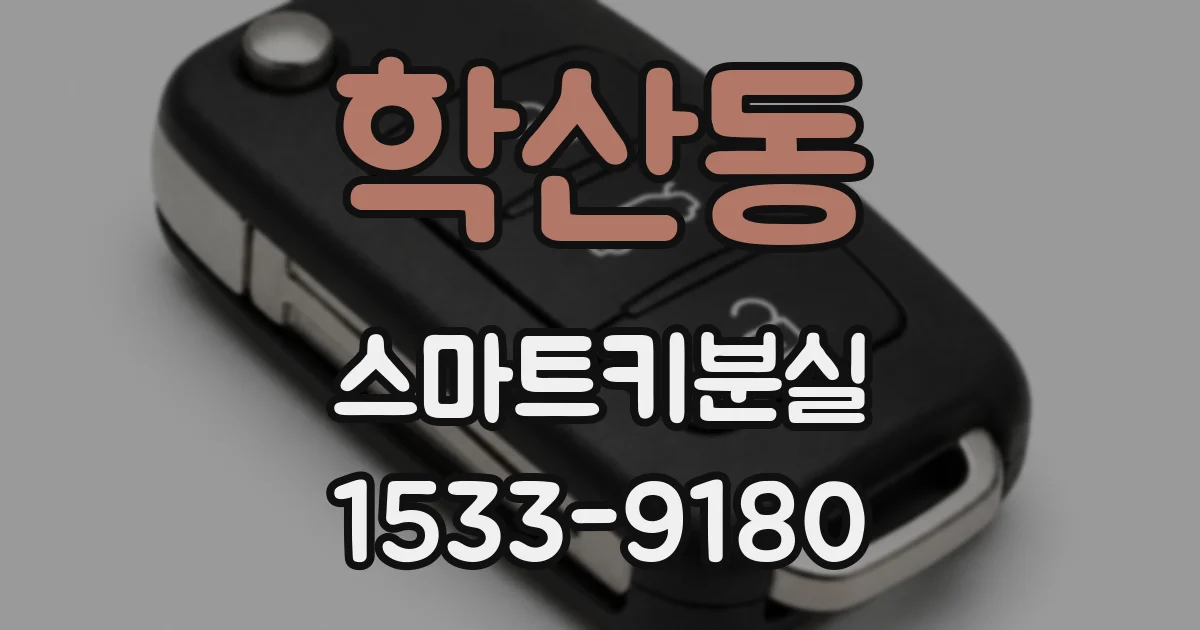 학산동 스마트키분실