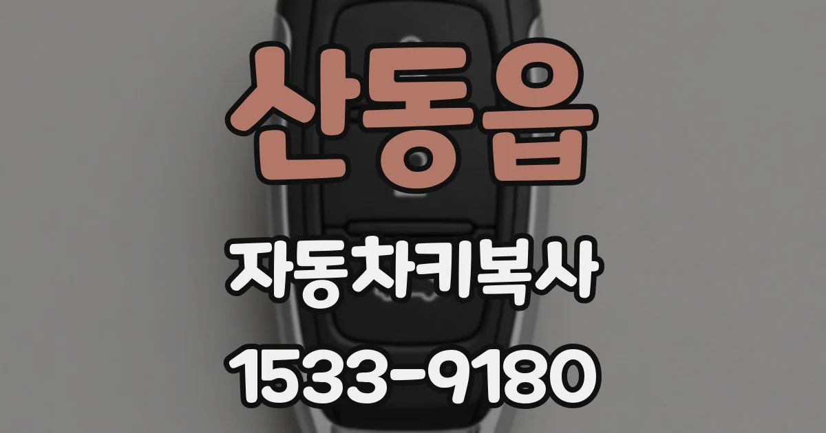 산동읍 자동차키복사
