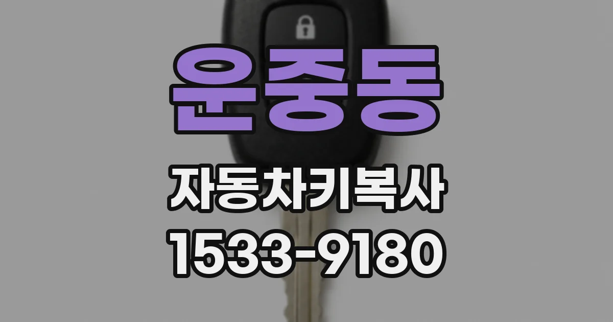 운중동 자동차키복사