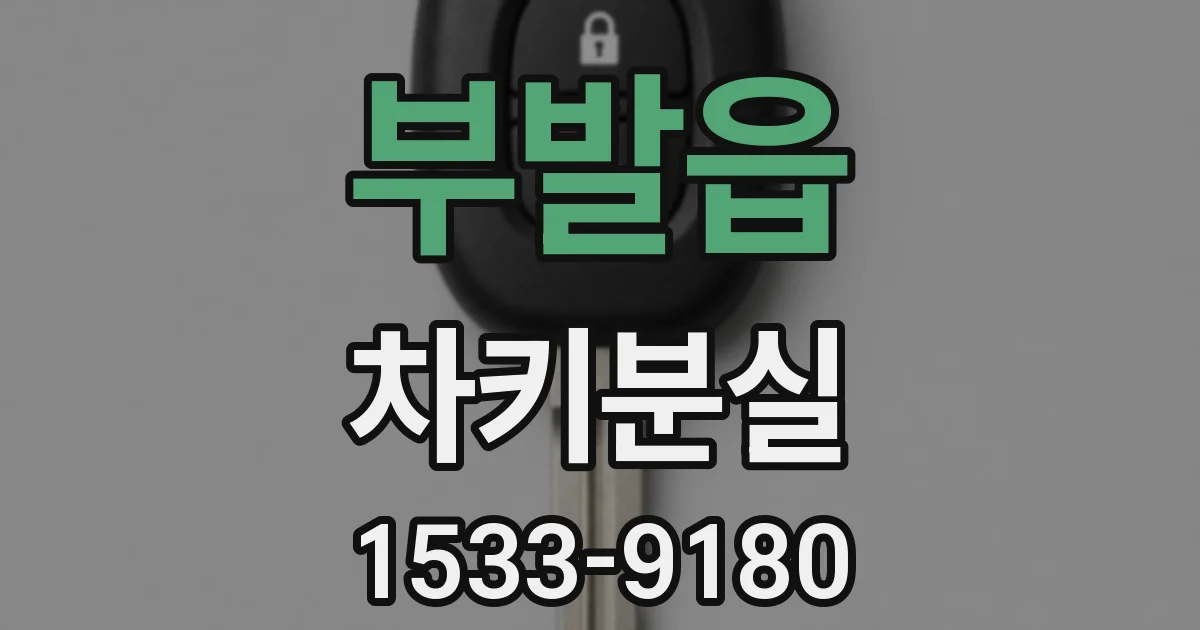 부발읍 차키분실