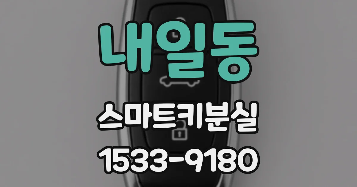 내일동 스마트키분실