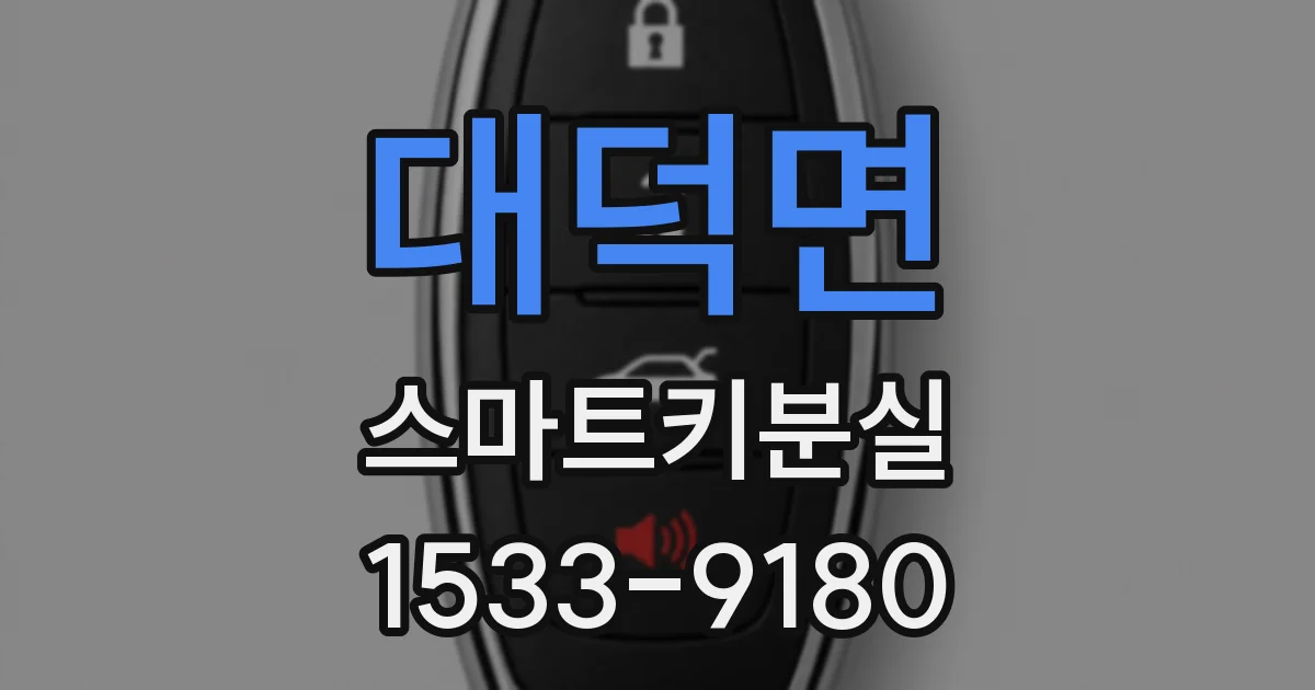 대덕면 스마트키분실