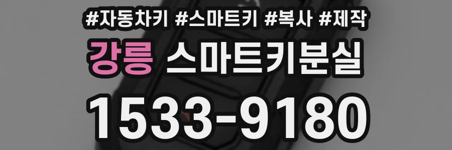강릉 스마트키분실
