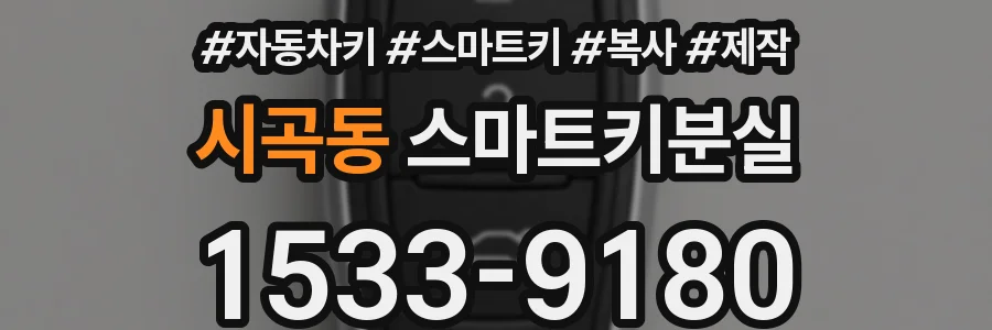 시곡동 스마트키분실