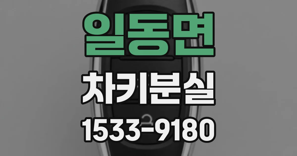 일동면 차키분실